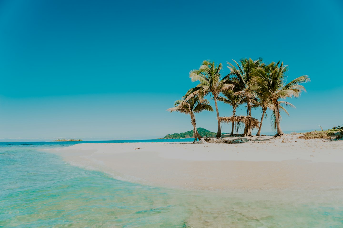 Palm trees and a thatched shelter on a tropical beach.